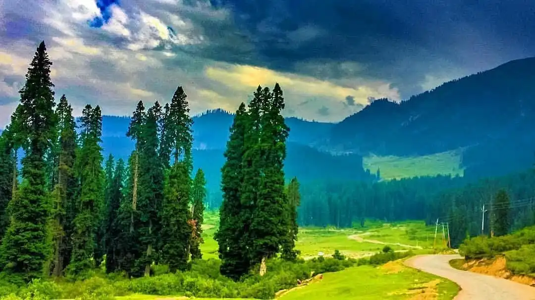 Doodhpathri - The Valley of Milk, Kashmir