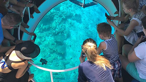 Glass Bottom Boat