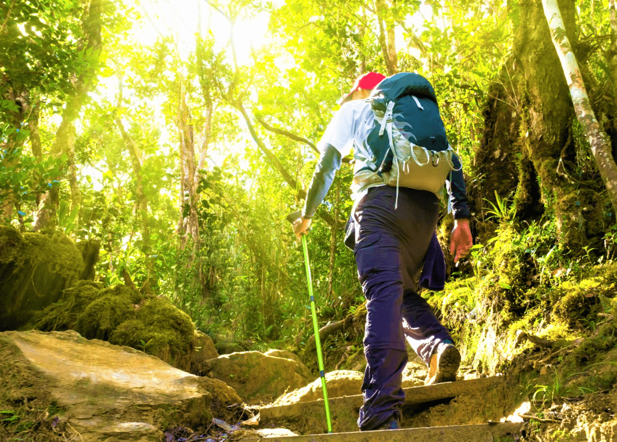 Trekking