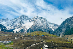 Sonmarg golden meadows with snow-capped Himalayan peaks