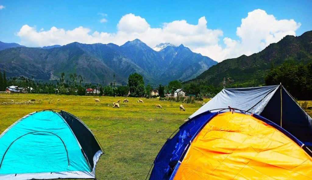 Kashmir Special Package