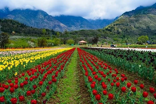 Kashmir Vacation Package